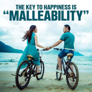 key to happiness is Malleability