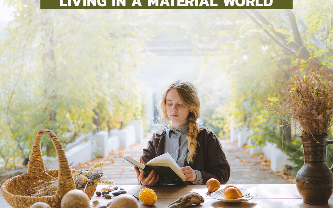 #499 Living in a Material World: The Joy of Less